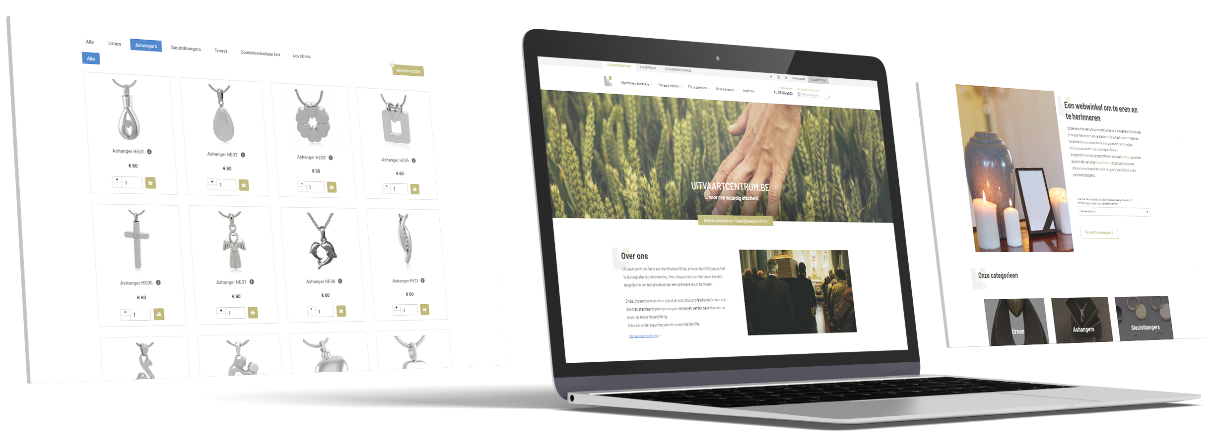 website image