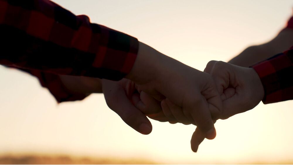 Multi Logistics Group